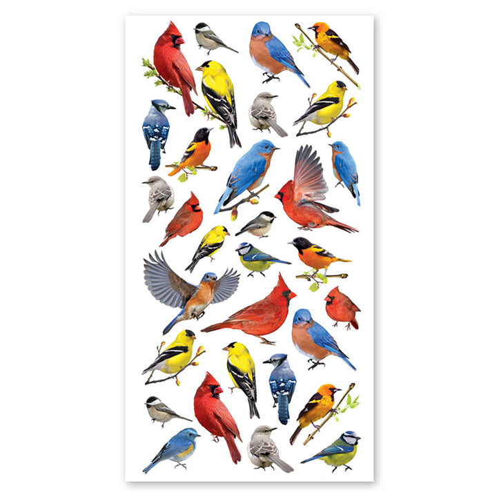 Backyard Birds Stickers - Packaged – Sticker Planet