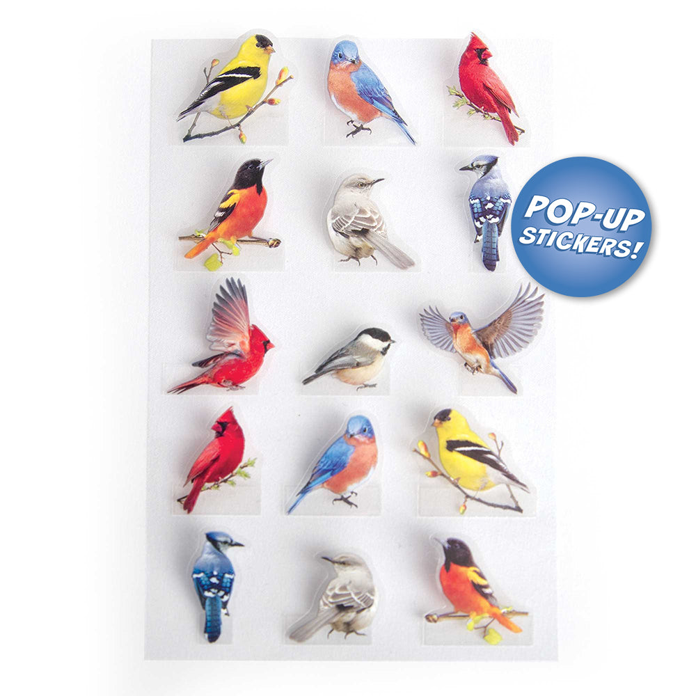 Backyard Birds Pop-Up 3-D Stickers