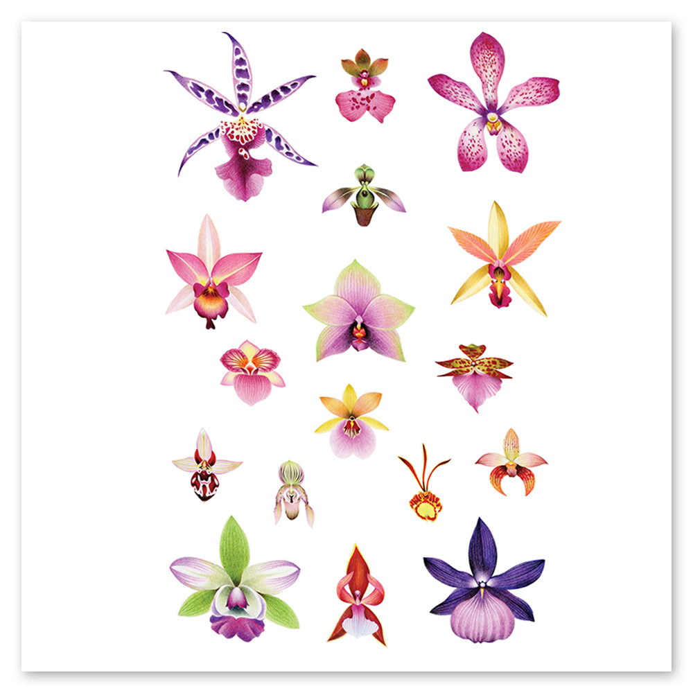 Orchid Temporary Tattoos
