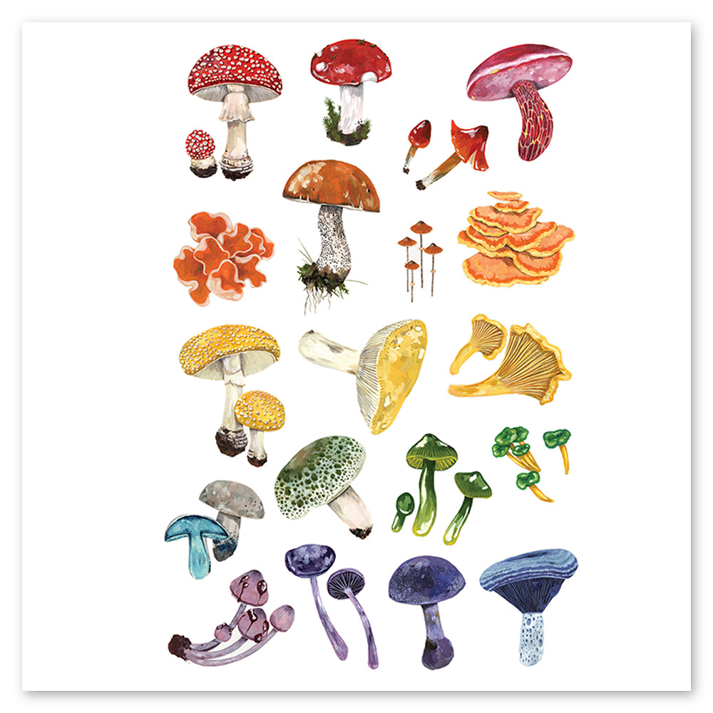 Colorful Mushrooms Temporary Tattoos