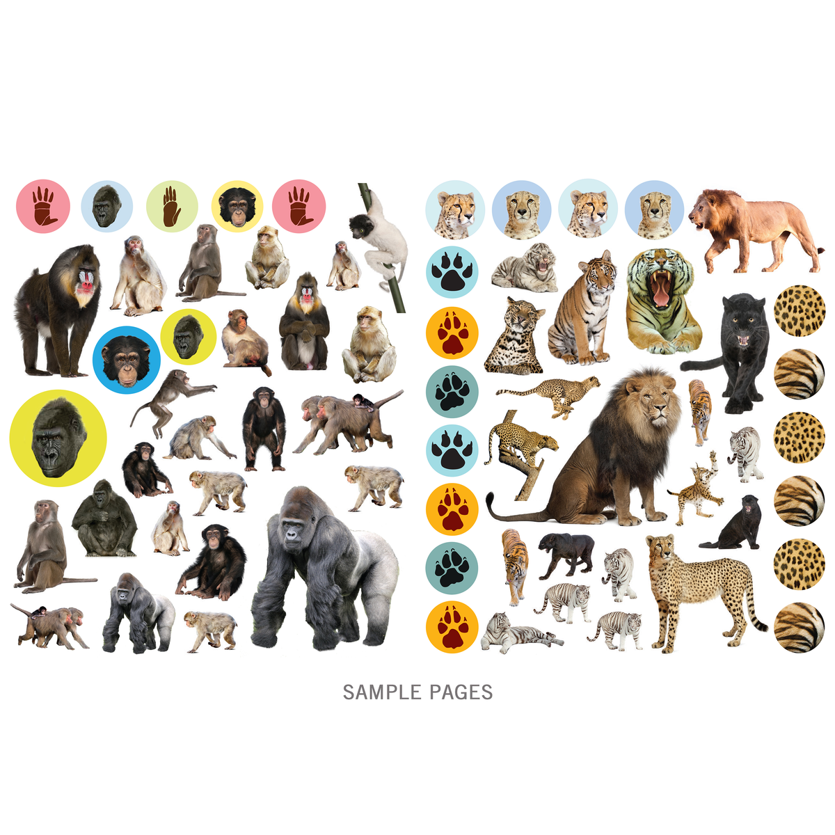 Wild Animals Eyelike Sticker Activity Book – Sticker Planet