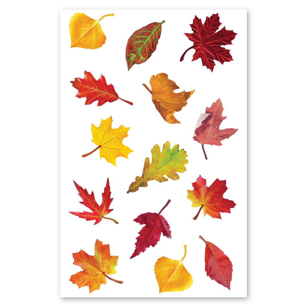 Various Fall Leaves Stickers