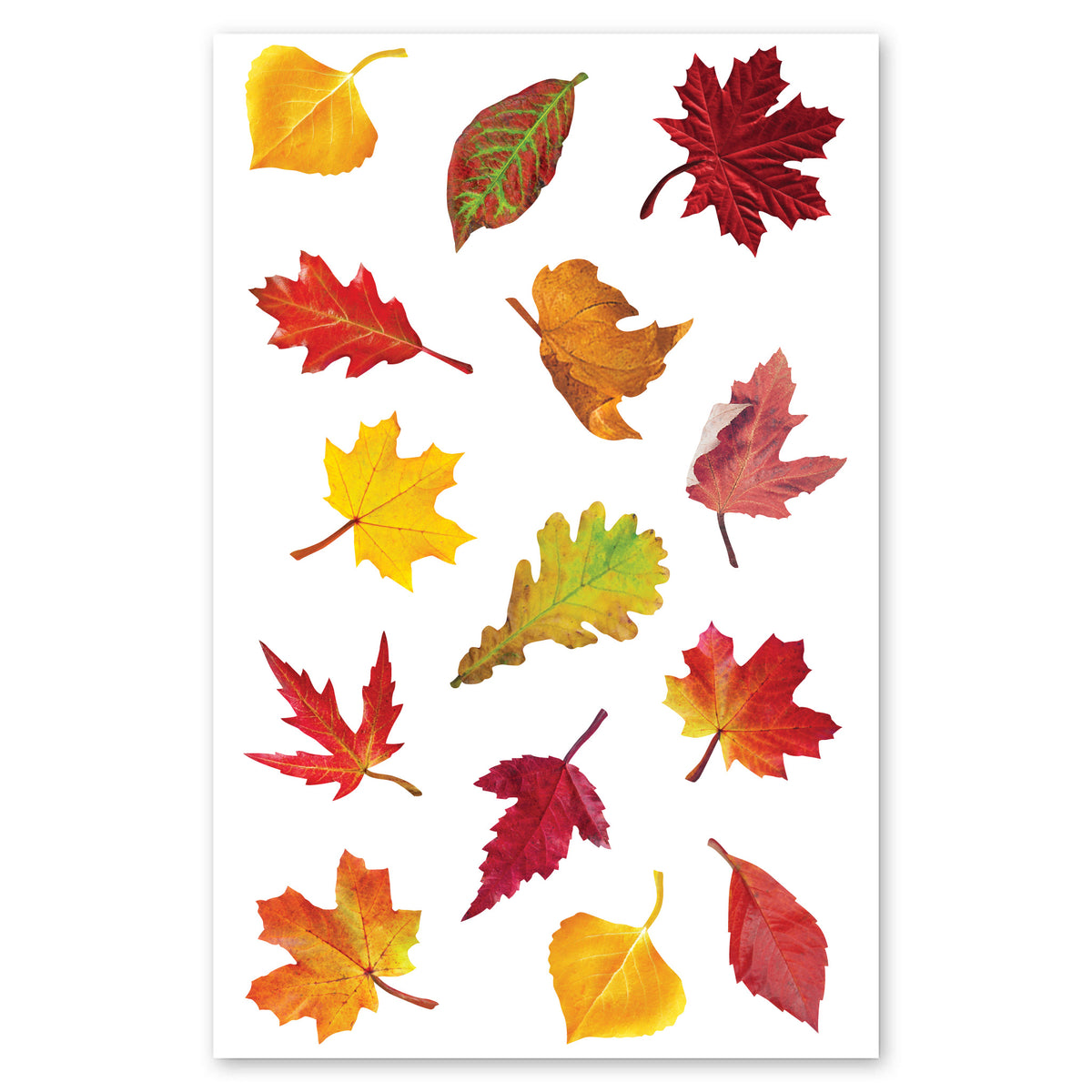 Falling Leaves Stickers – Sticker Planet