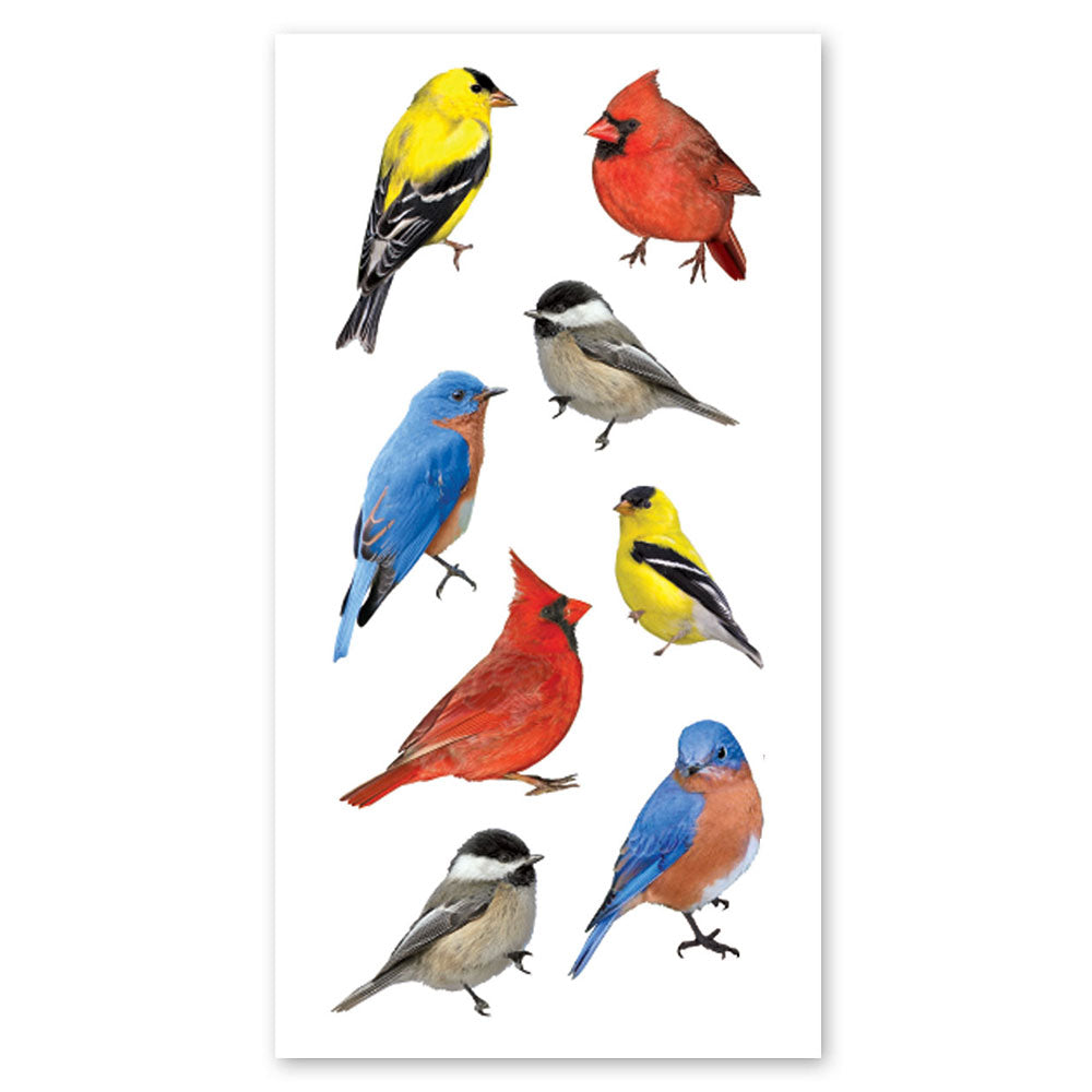 Backyard Birds Stickers