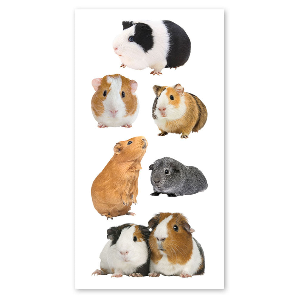 Guinea Pigs Stickers