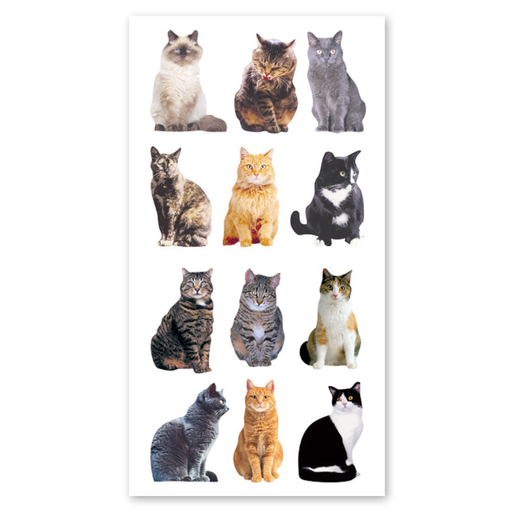 Cat Sticker Bc Cats Stickers, Cat Faces & Kittens | Sticker Planet