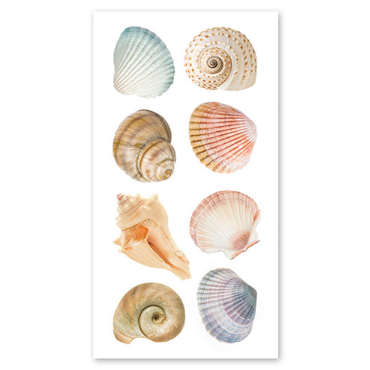 Shell Sticker Beige Beach Stickers & Seashell Stickers | Sticker Planet