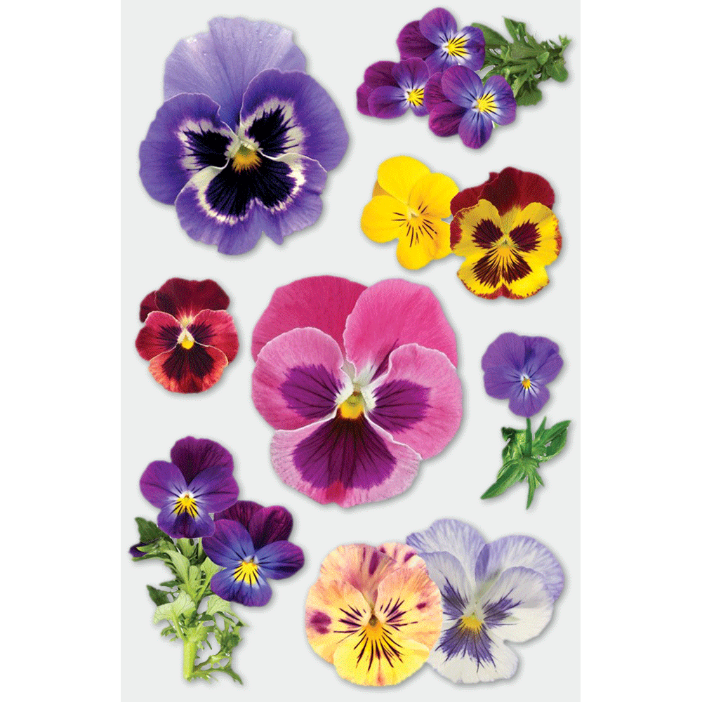 Pansies 3-D Stickers