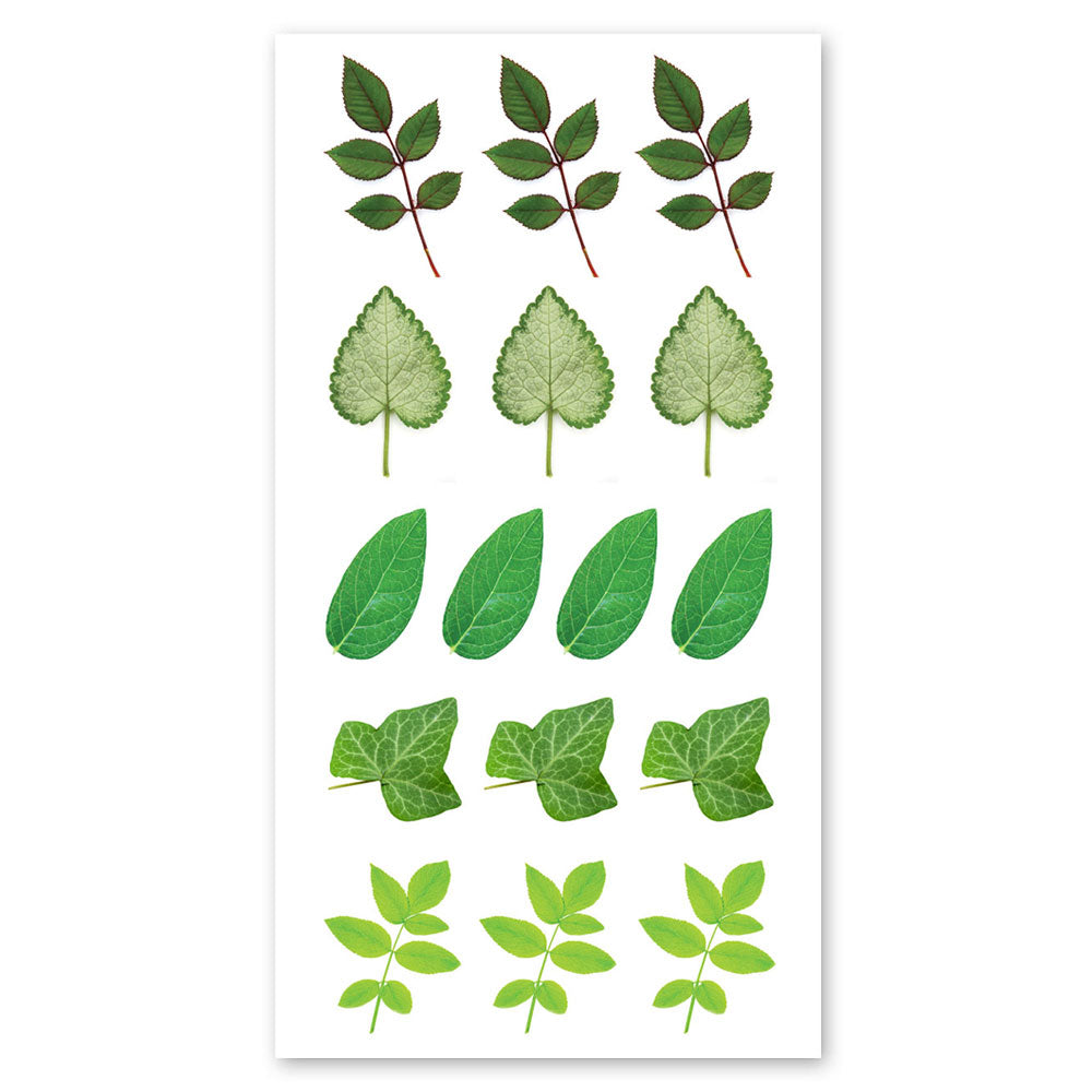 Leaves Stickers – Sticker Planet