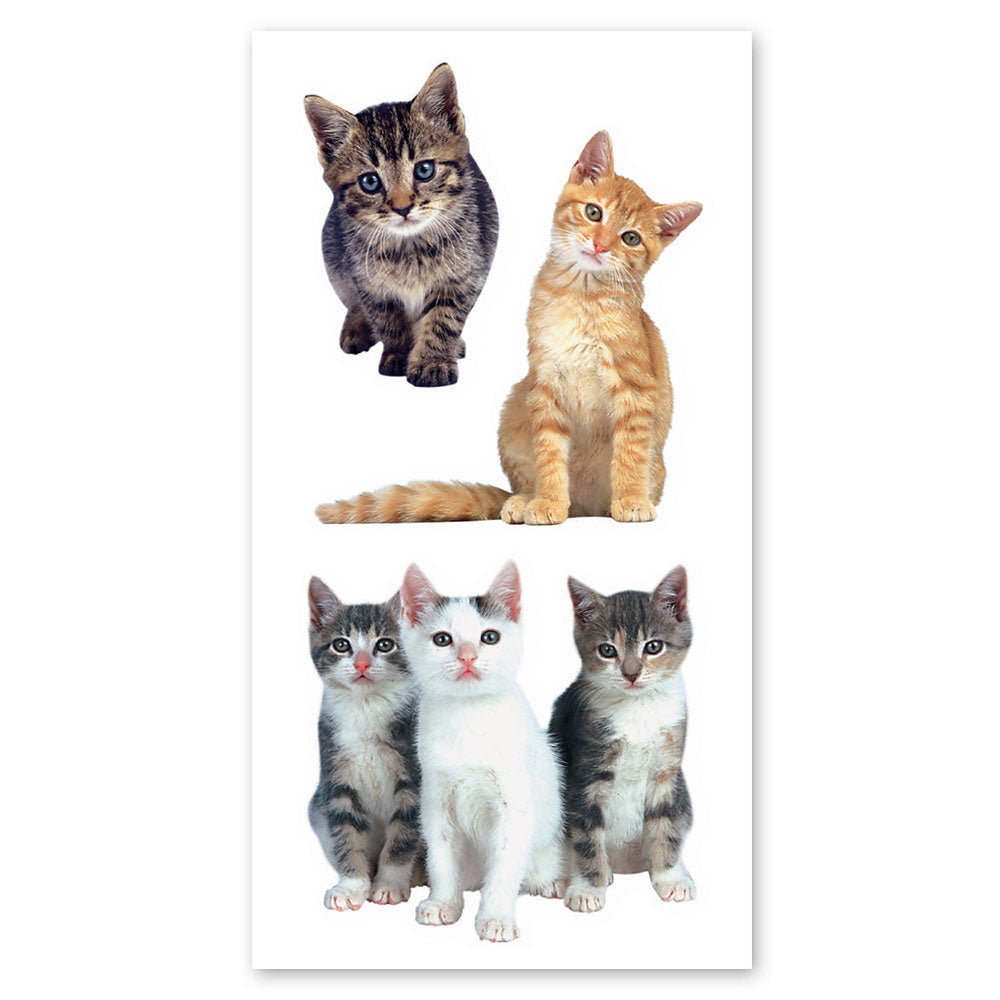 Playful Kittens Stickers