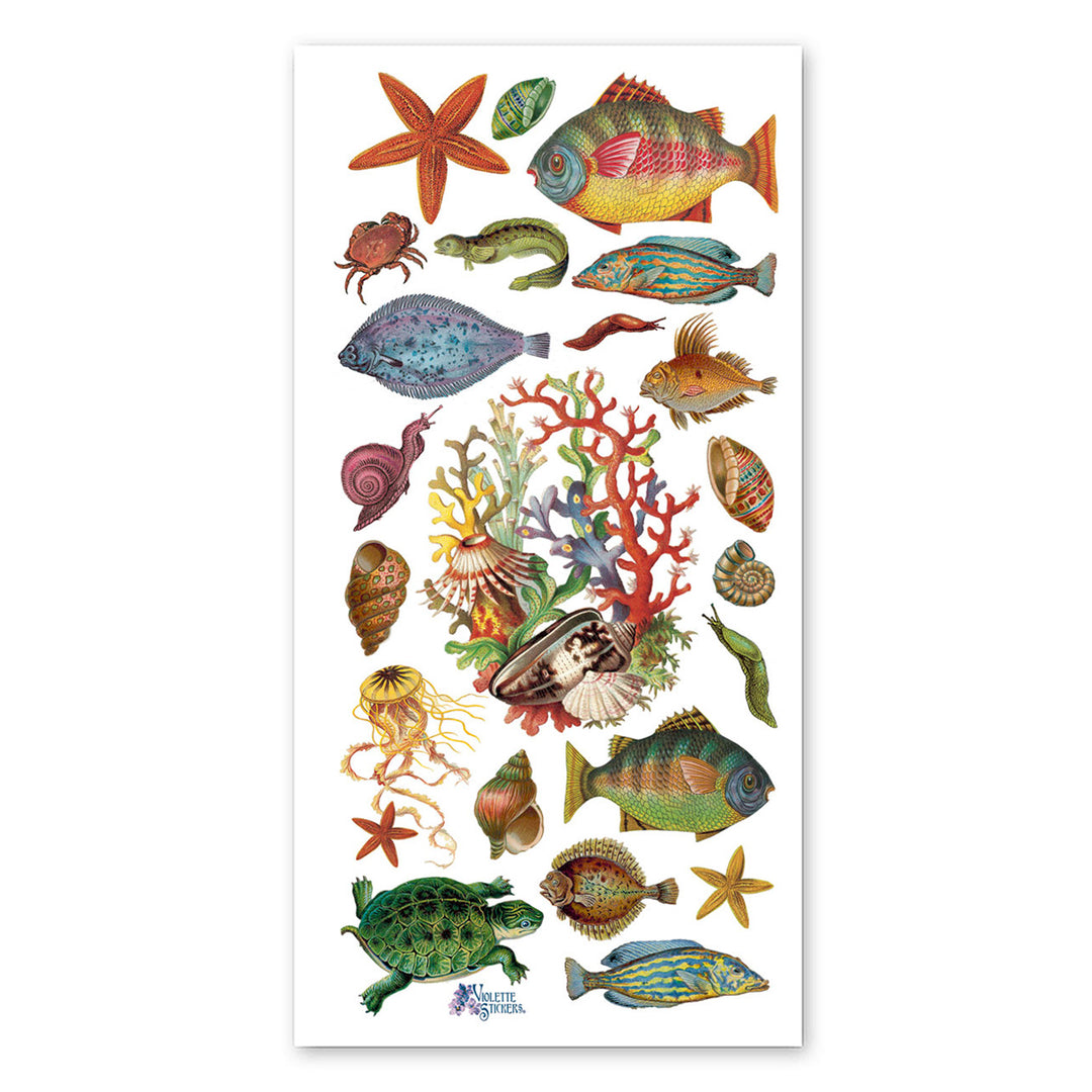 Sealife