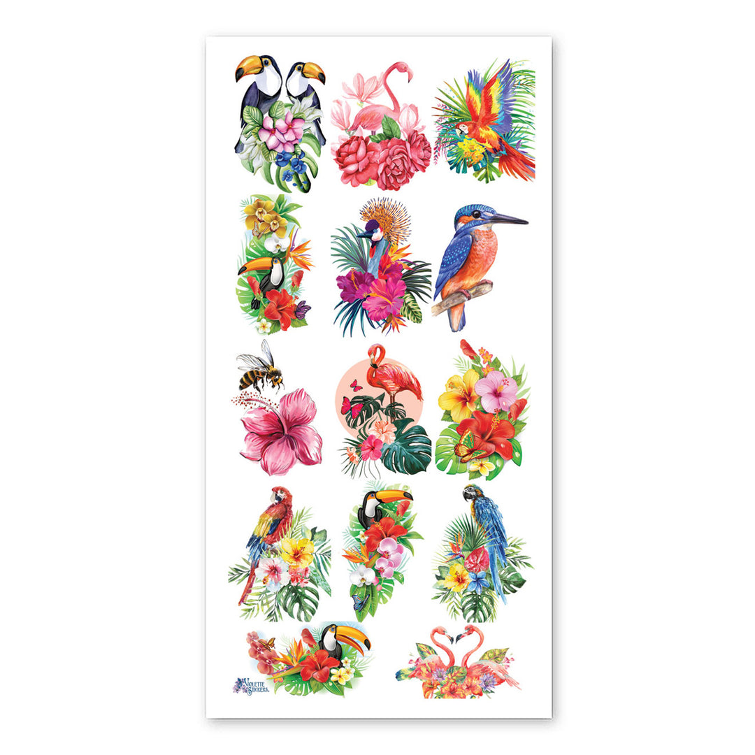 Hawaii Birds