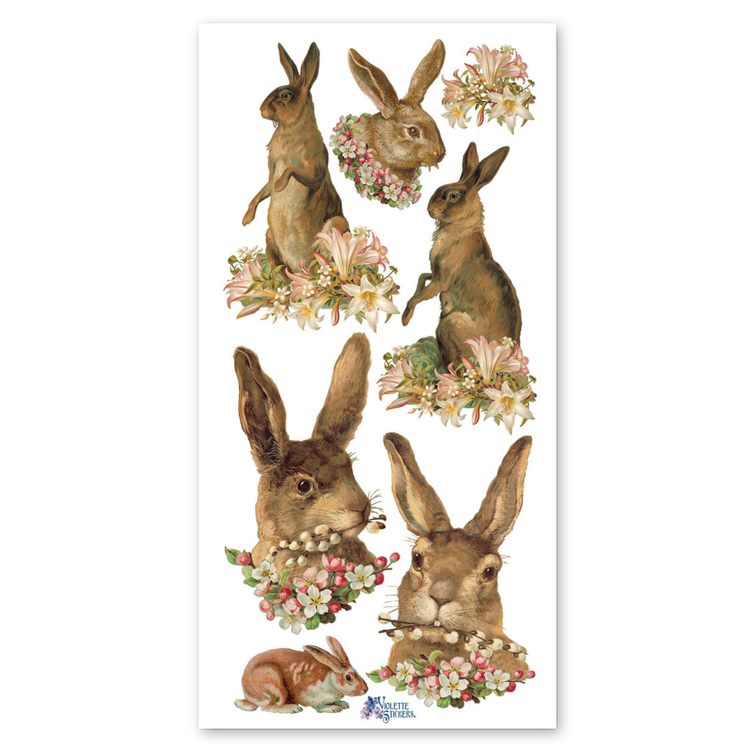 Easter Hares