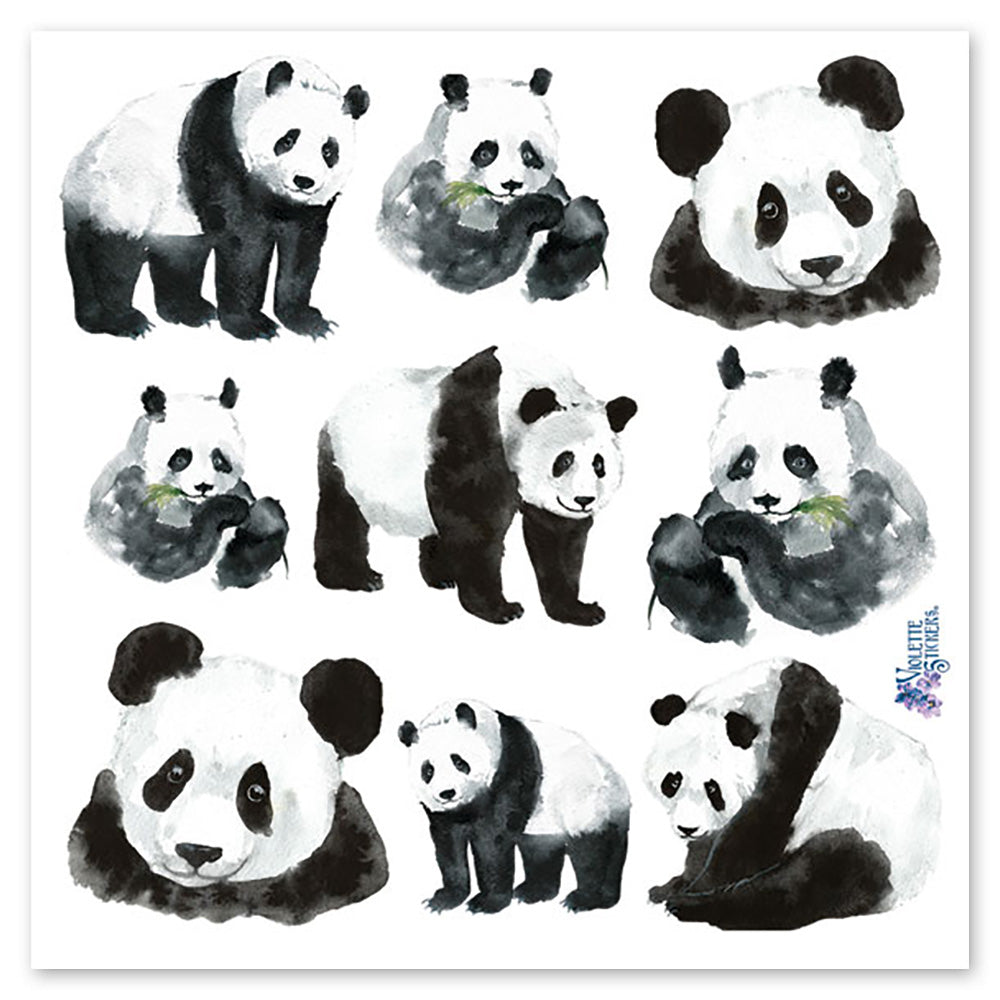 Pandas