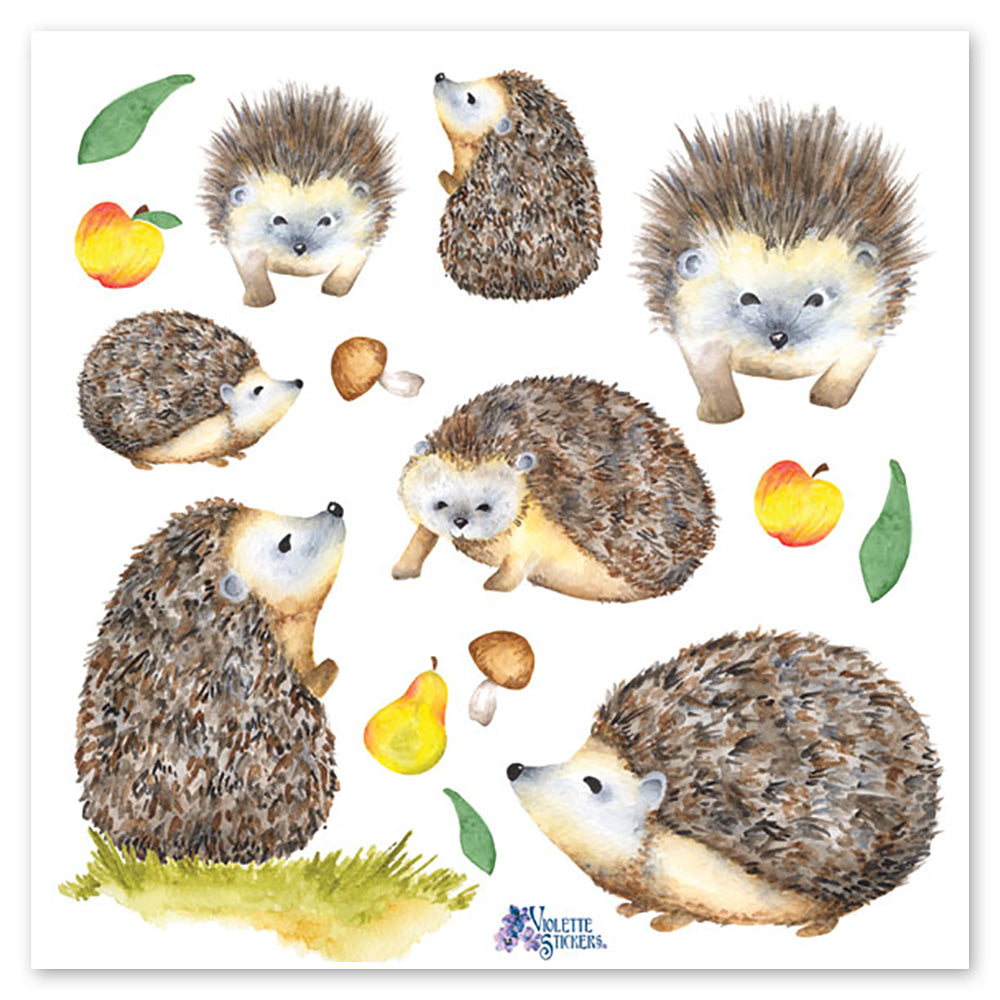 Hedgehogs