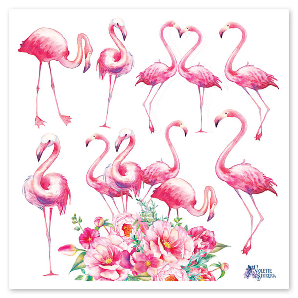 Flamingos