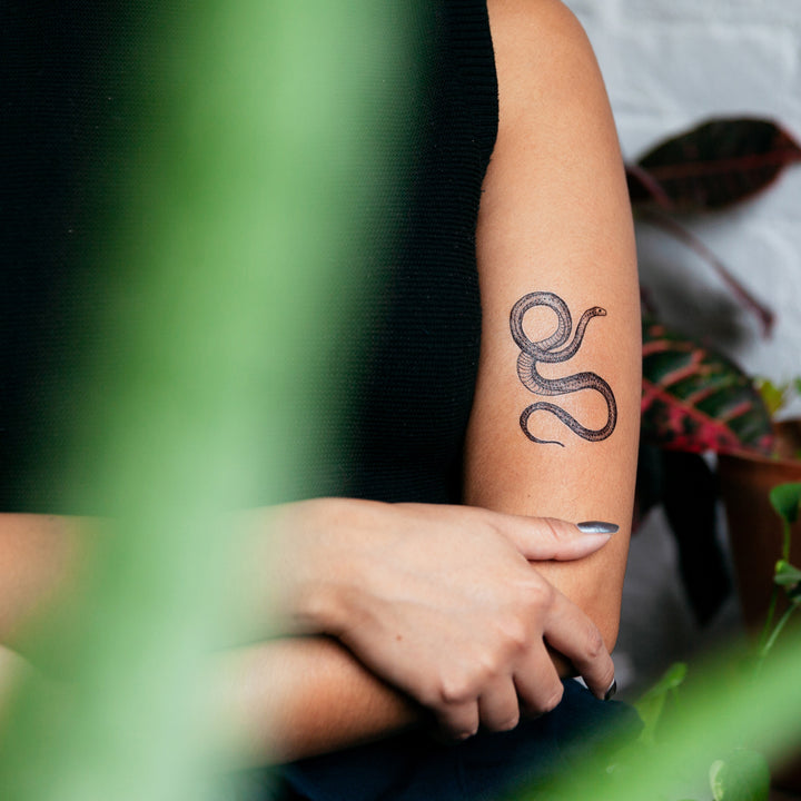 Serpent Tattly Tattoos