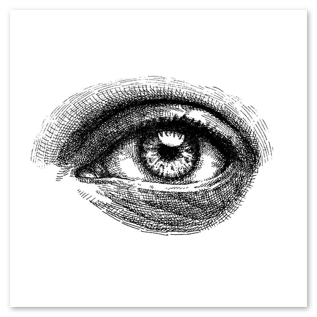 The Eye Tattly Tattoos