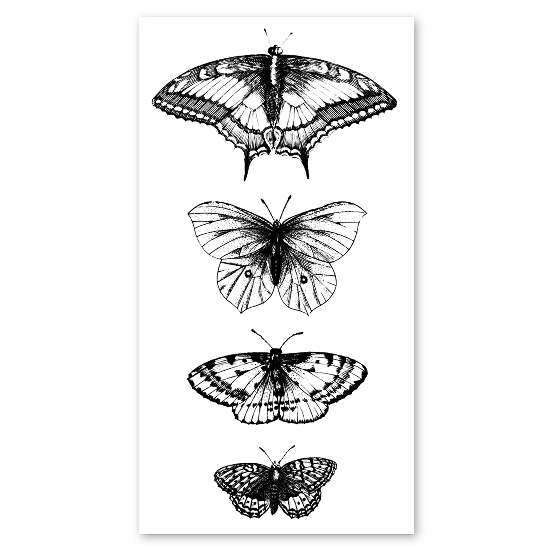 Gorgeous Butterfly Stickers – Ah! The Element of Surprise