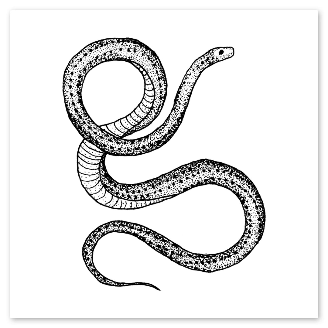 Serpent Tattly Tattoos