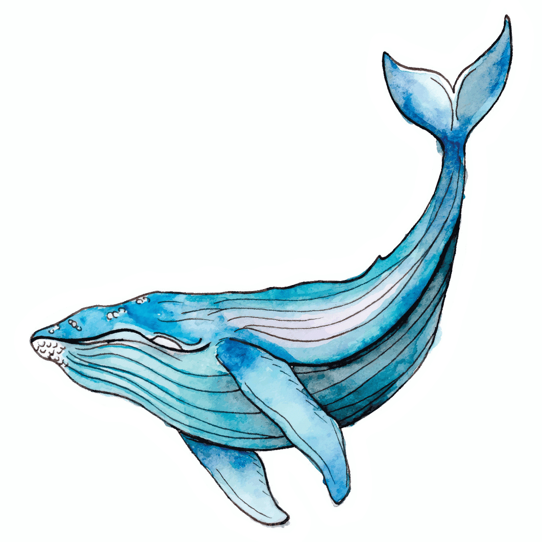 Watercolor Whale Decal