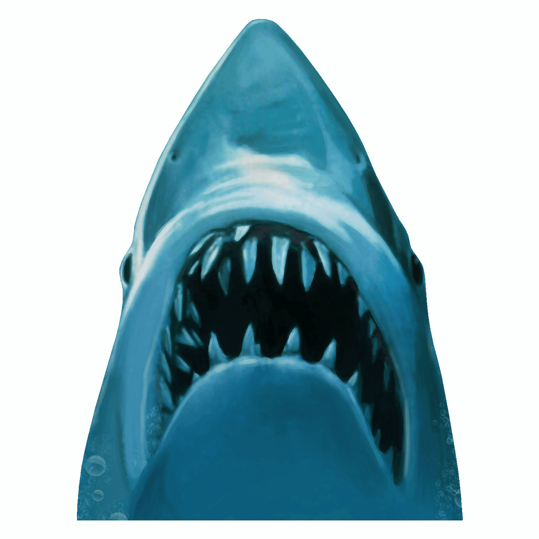 Shark Jaws Decal