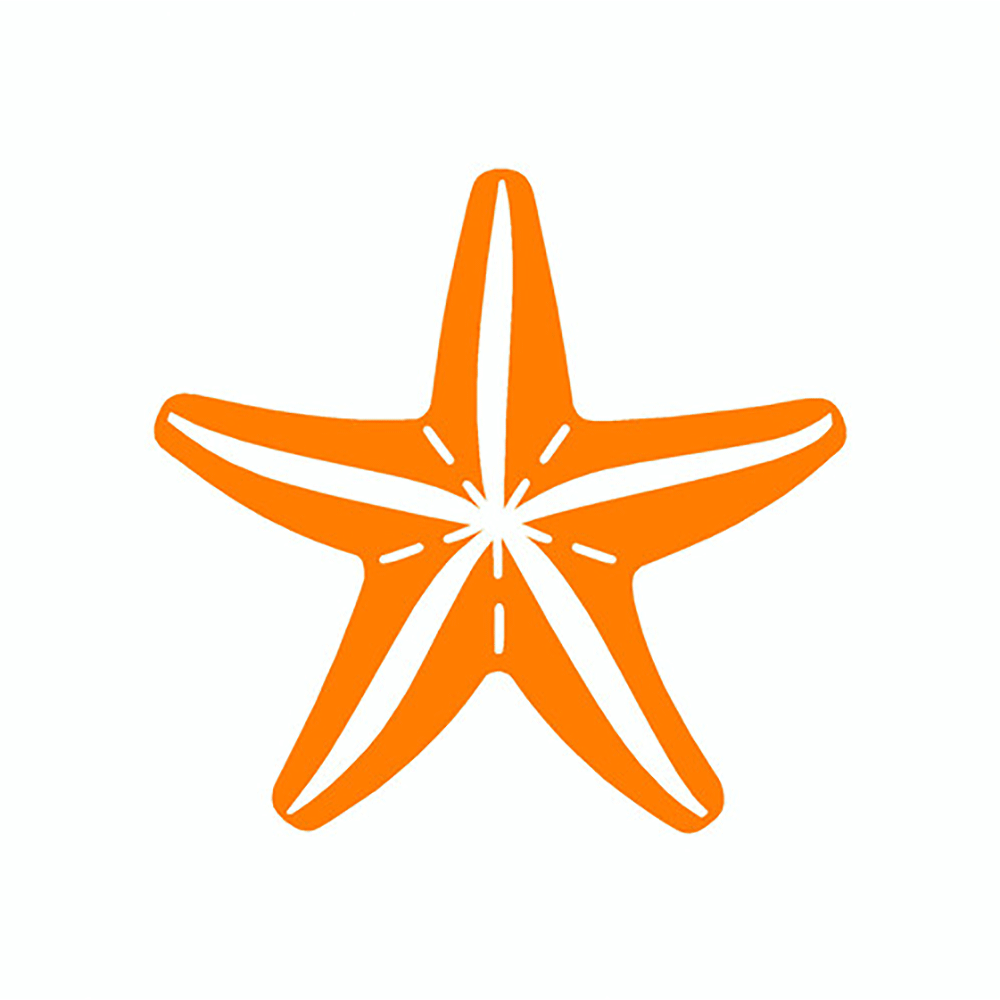 Orange Starfish Decal