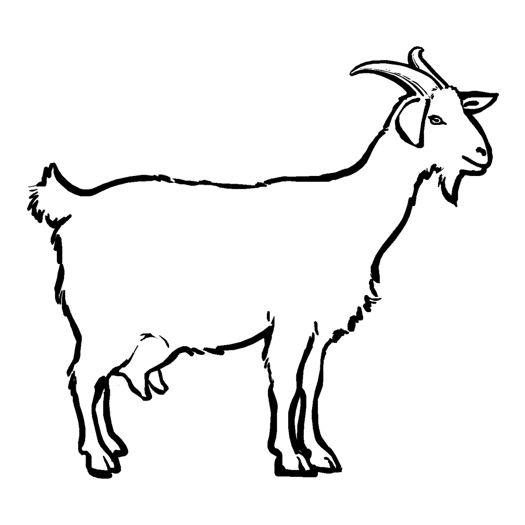 Goat Decal
