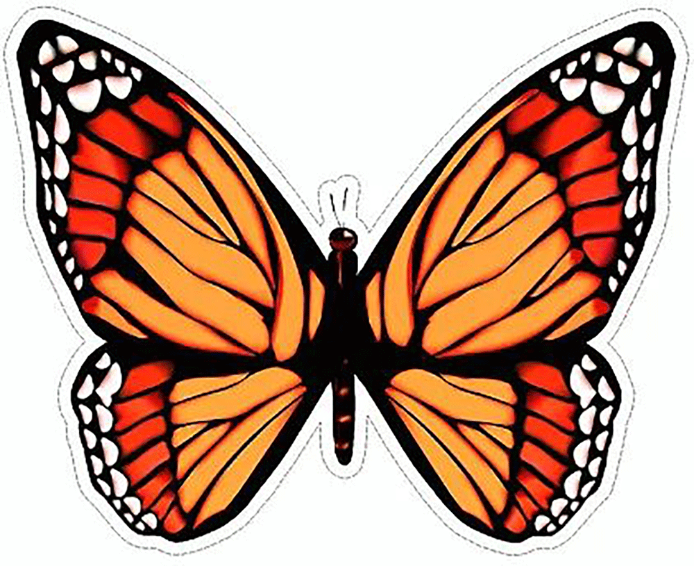 Monarch Butterfly Vinyl Sticker Decal – Sticker Planet