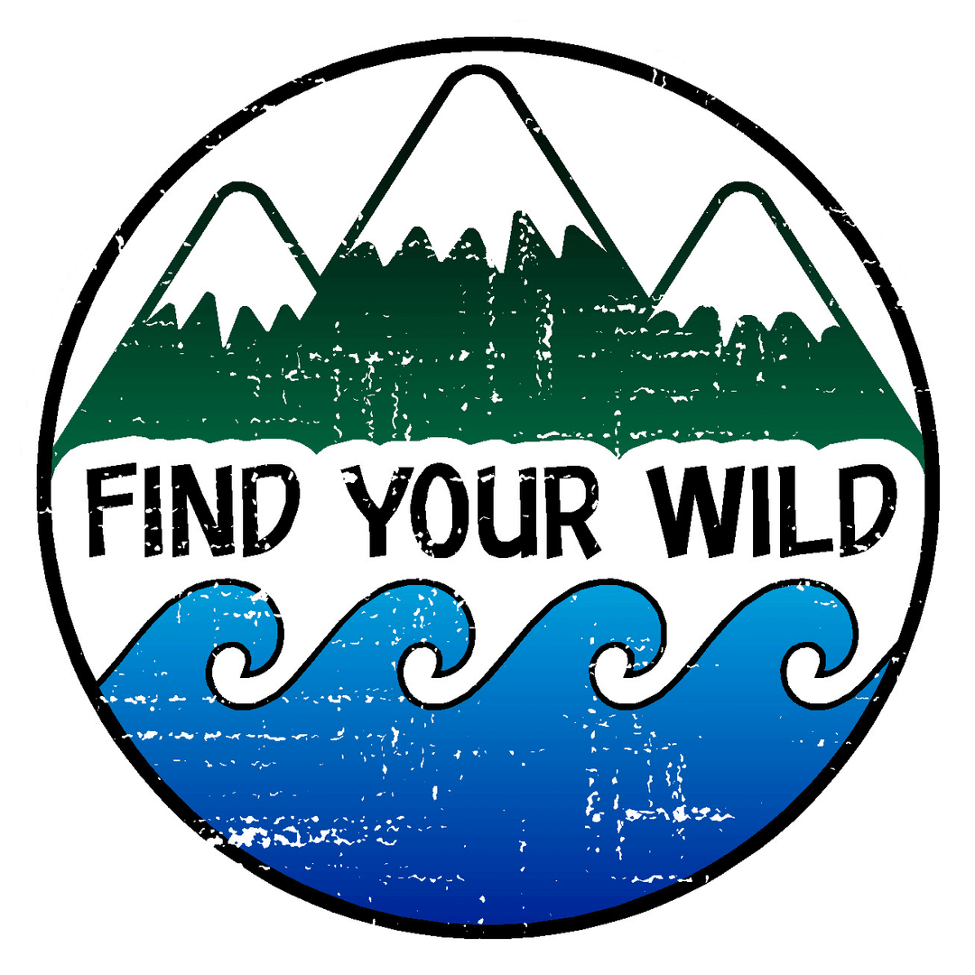 Find Your Wild Decal