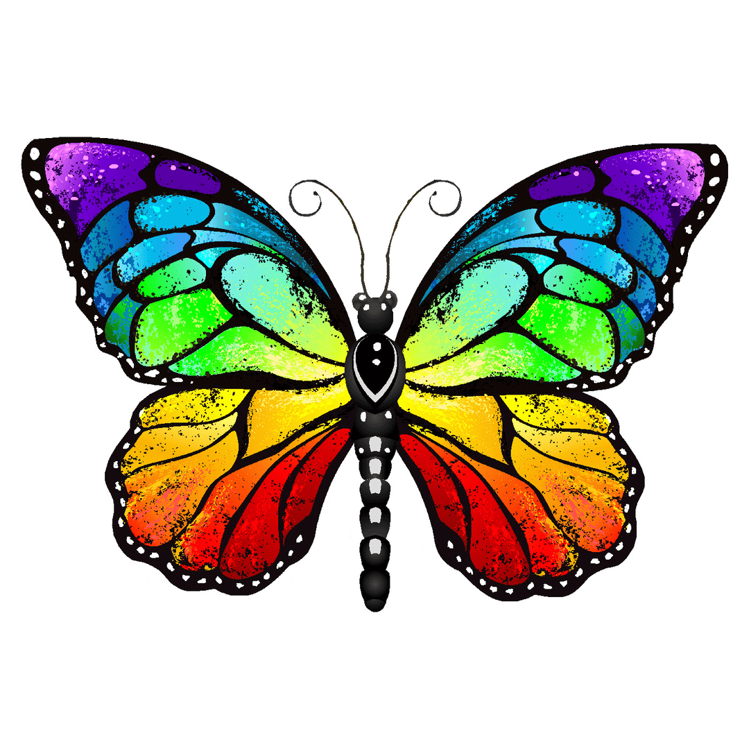Colorful Butterfly Vinyl Sticker Decal