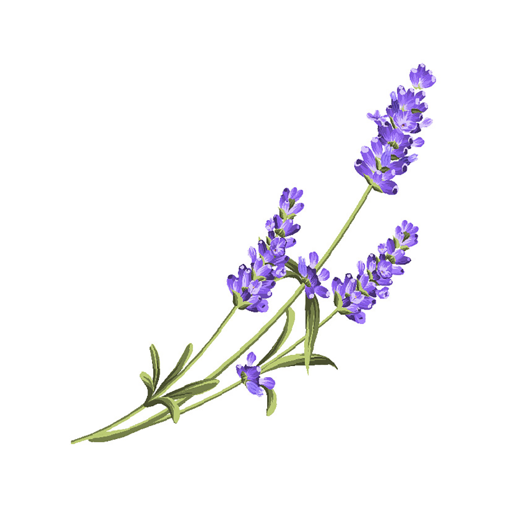 Lavender Flower Vinyl Sticker Decal