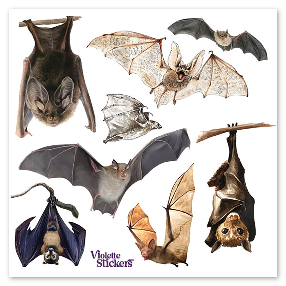 Bats Stickers