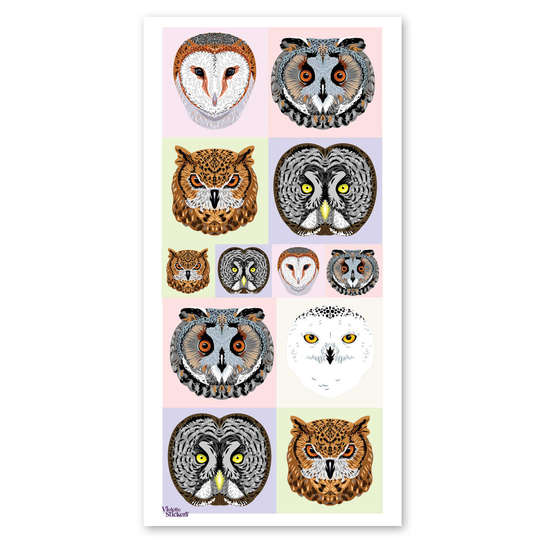 Owl Portraits Stickers
