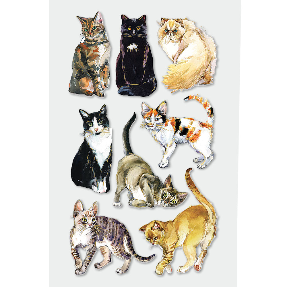 Cats Dimensional Stickers