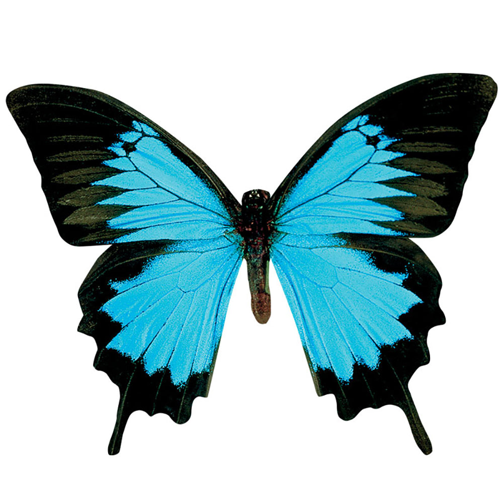 Blue Butterfly Vinyl Sticker Decal