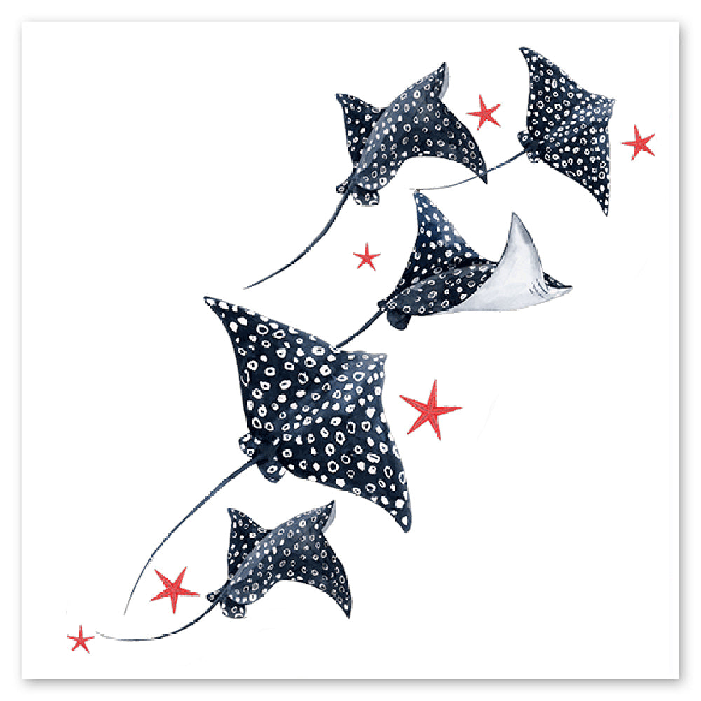 Rays & Stars Vinyl Sticker Decal